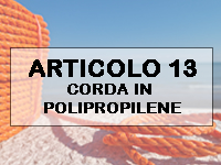 ART13PULSANTE